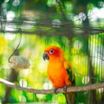 6 Signs That Your Child is Old Enough to Care For an Exotic Pet