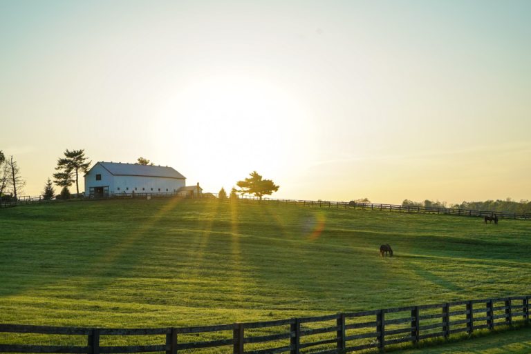 4 Great Ideas for Designing and Building Your Dream Farmhouse